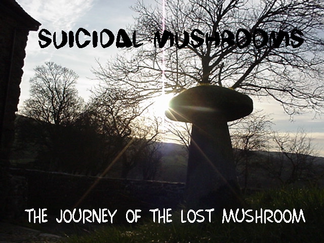 cover.jpg