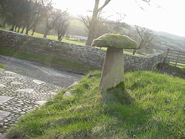 dsc00028.jpg