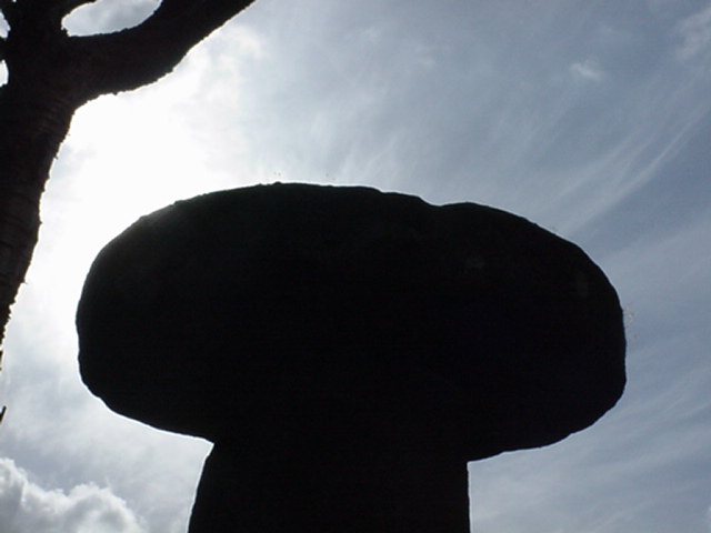 dsc00028.jpg
